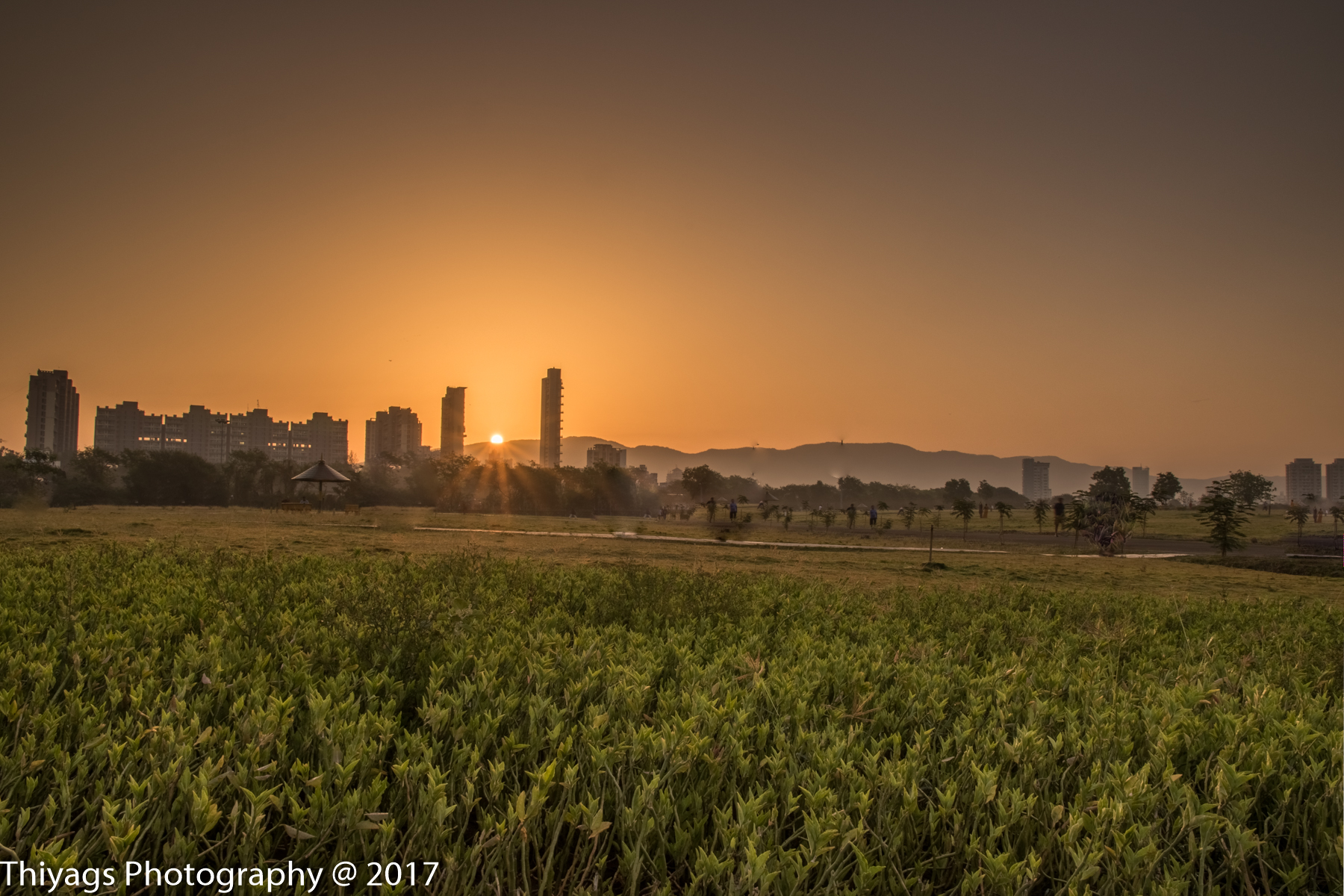 Thiyagrajan's Photography